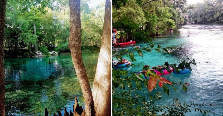 This Mystical Florida Lake Is So Otherworldly, You’ll Feel Like You’ve Stepped Into Another World