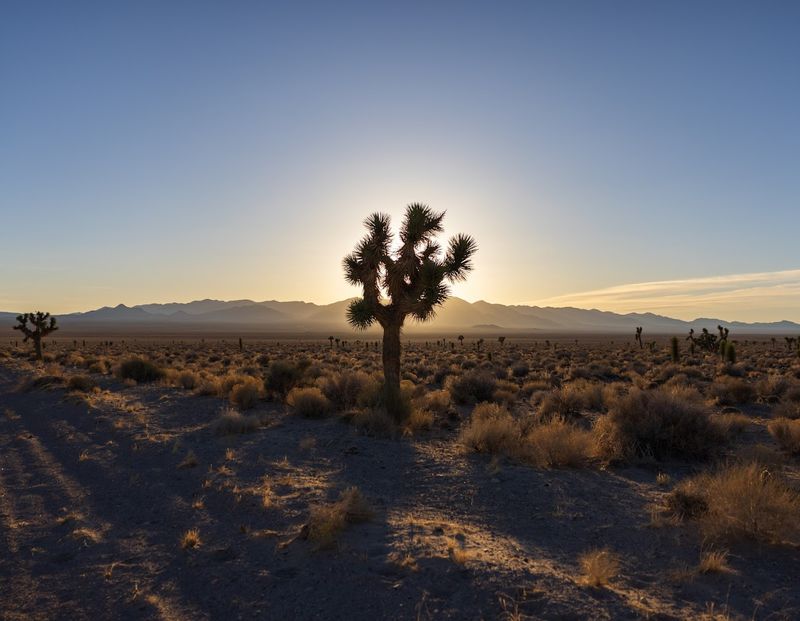 The Drive That Sets The Mood Before You Even Arrive