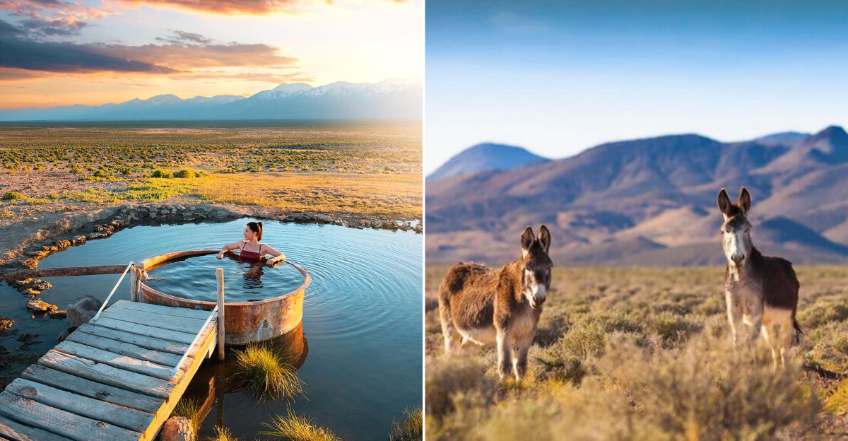 These Nevada’s Empty Highways Lead To The State’s Most Peaceful Surprise