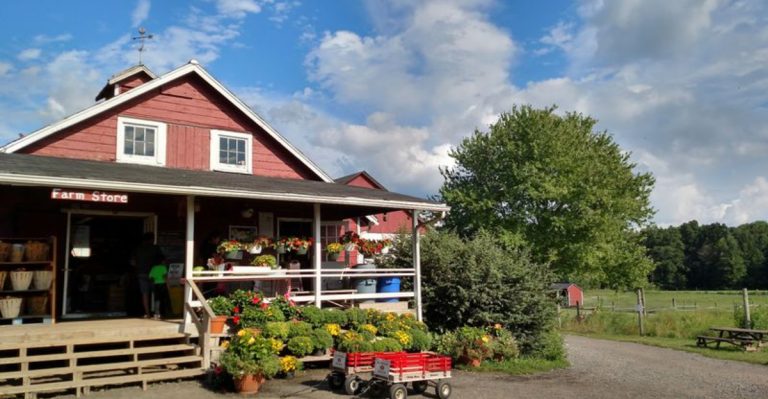 This New Jersey Orchard Escape Offers Fresh Fruit, Pies, And Family Fun