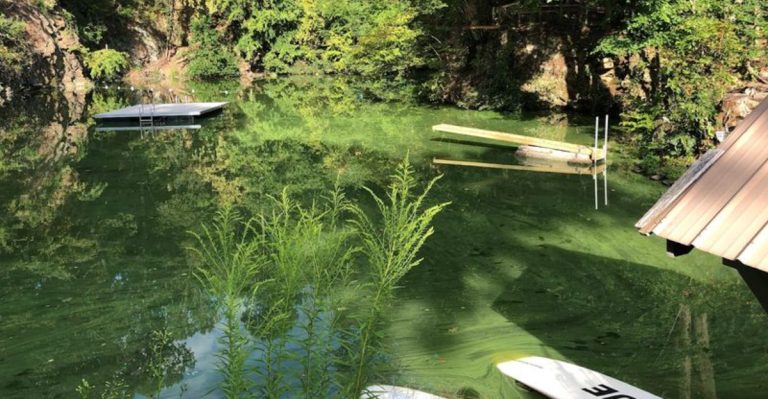 This New Jersey Spot Turned An Old Quarry Into A Crystal Blue Green Summer Swim