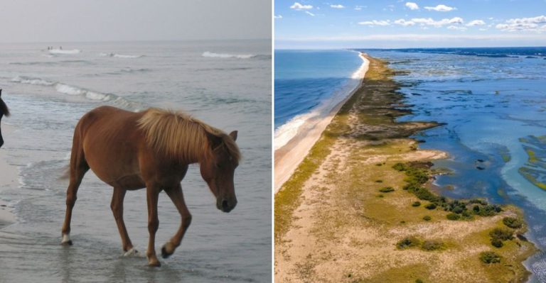 This North Carolina Coastal Island Is So Peaceful, Even Weekends Stay Crowd-Free