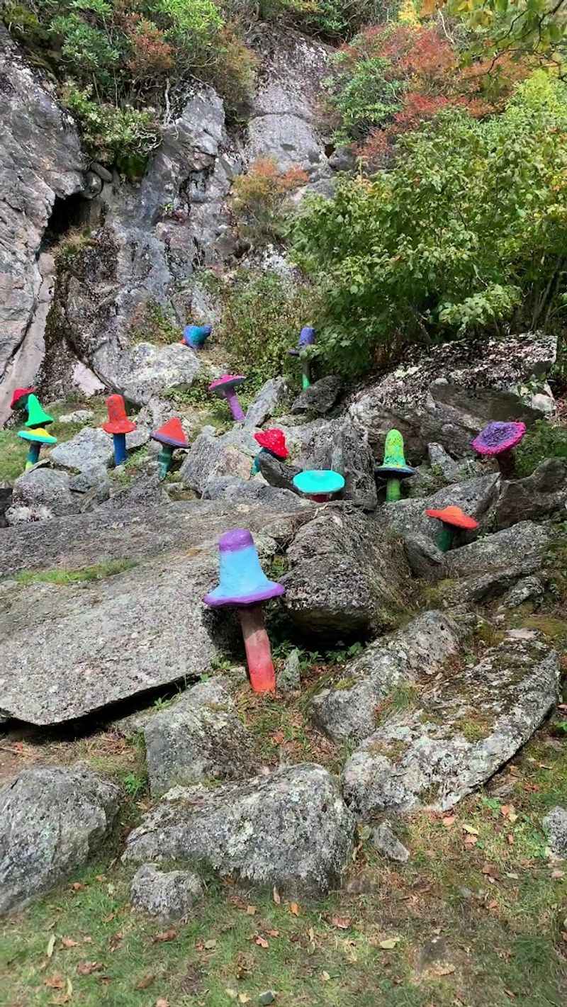 The Yellow Brick Road That Actually Exists