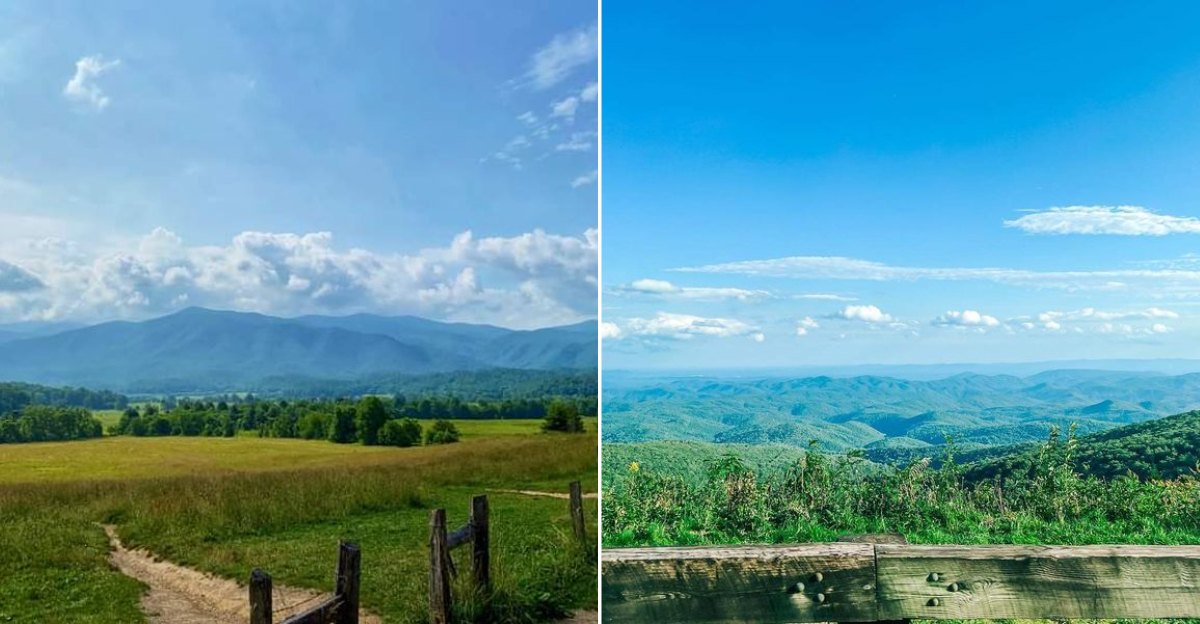 The Thanksgiving Nature Drive In North Carolina That Locals Believe Is Worth The Trip Every Year