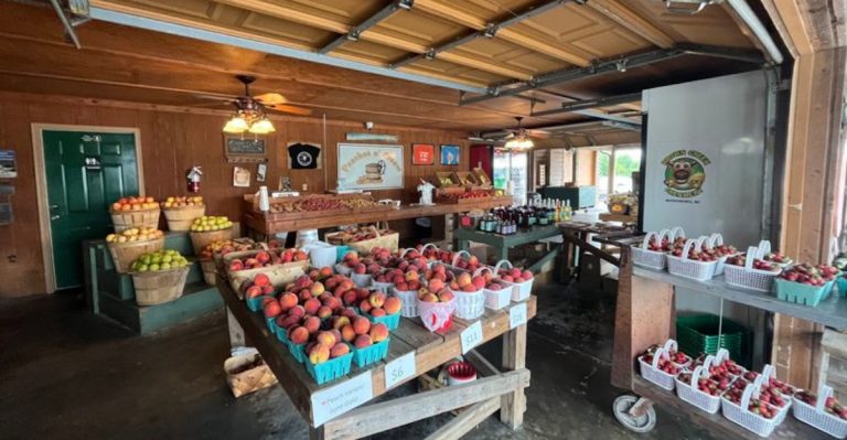 This North Carolina Peach Stand Makes A Hot Summer Drive Feel Worth It