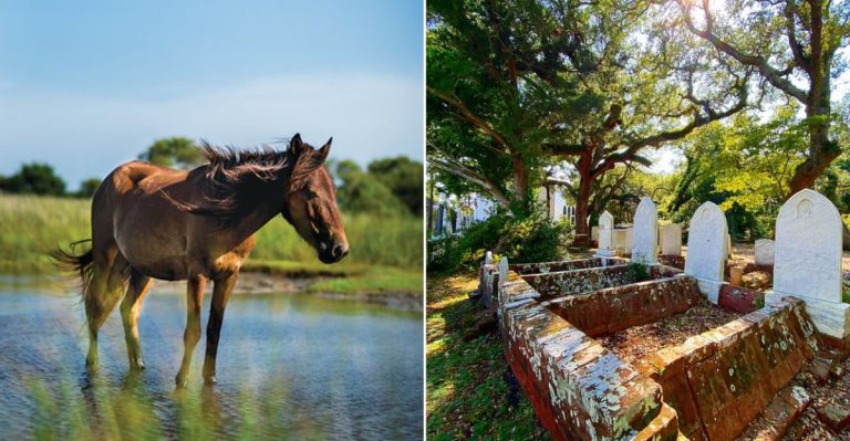This Tiny North Carolina Town Is Big On Charm And Southern Hospitality
