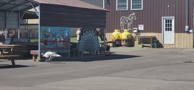 A Nonprofit Sanctuary With a Big Heart