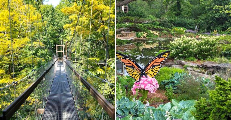 This Ohio Arboretum Is A Dream Visit In May When Spring Color Takes Over