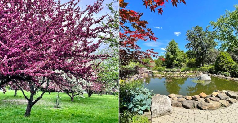 This Ohio Arboretum Is A Quiet 2026 Escape With So Much To See