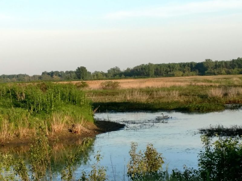 Where the Magic Begins: The Location and Setting