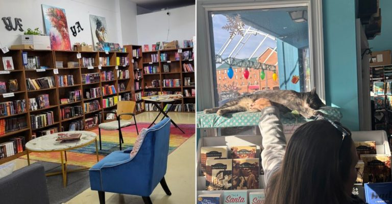 This Ohio Bookstore Feels Like A Cozy Literary Hideout With Two Feline Hosts