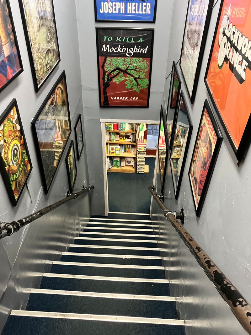 A Labyrinth of Literary Wonder