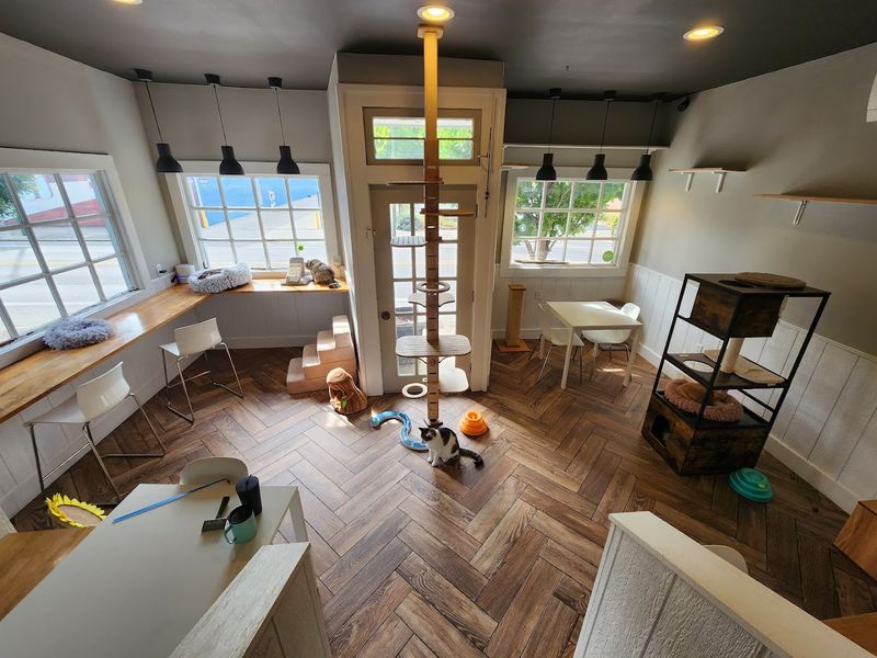 Where Dayton Hides One of Its Best-Kept Secrets