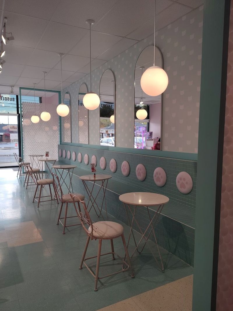 Where the Magic Begins: The Story Behind the Cafe