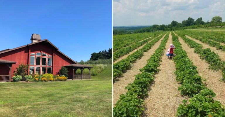 This Ohio Farm Market Is A Fresh June Stop You’ll Definitely Want To Repeat