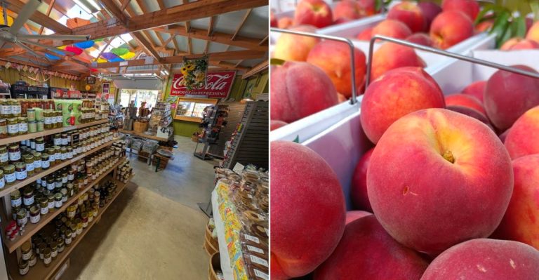 This Ohio Farm Market Is A Peach-Lover’s Dream In August
