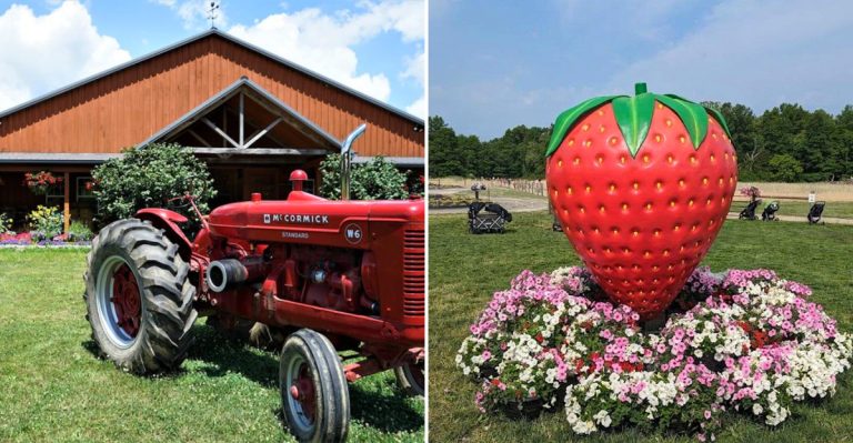This Ohio Farm Market Turns A Spring Detour Into A Sweet Strawberry-Filled Escape
