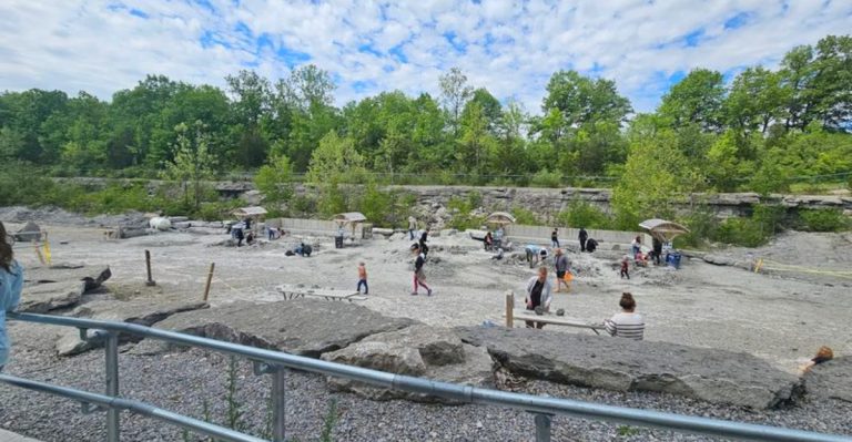 This Ohio Fossil Park Lets You Hunt For 375-Million-Year-Old Treasures