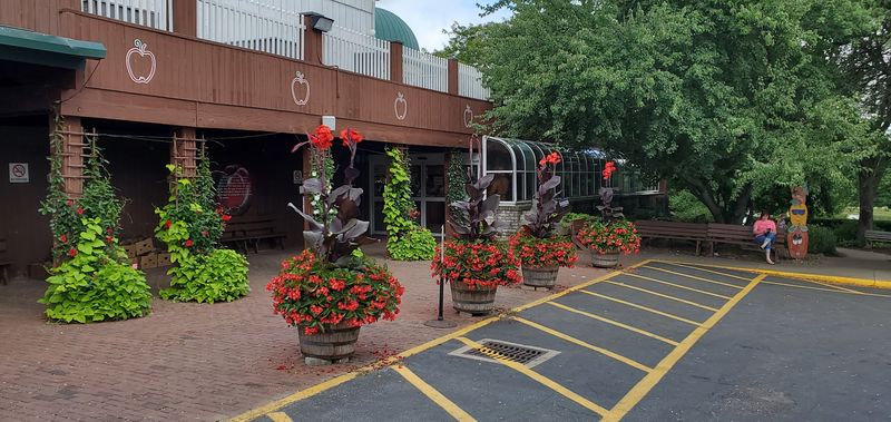 A Farm That Feels Like a World of Its Own