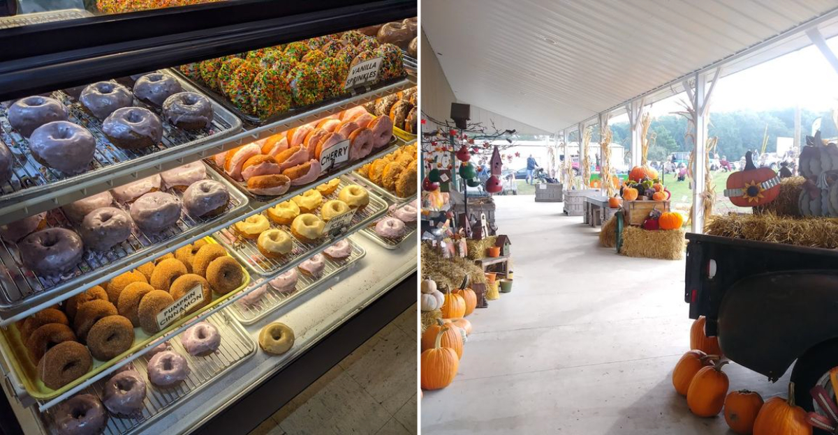 This Ohio Fruit Farm Is Serving Blueberry Donuts People Cannot Stop Craving