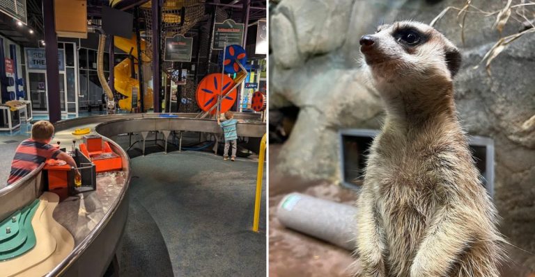 This Ohio Museum Lets You Get Hands-On With Science And Meet Amazing Animals