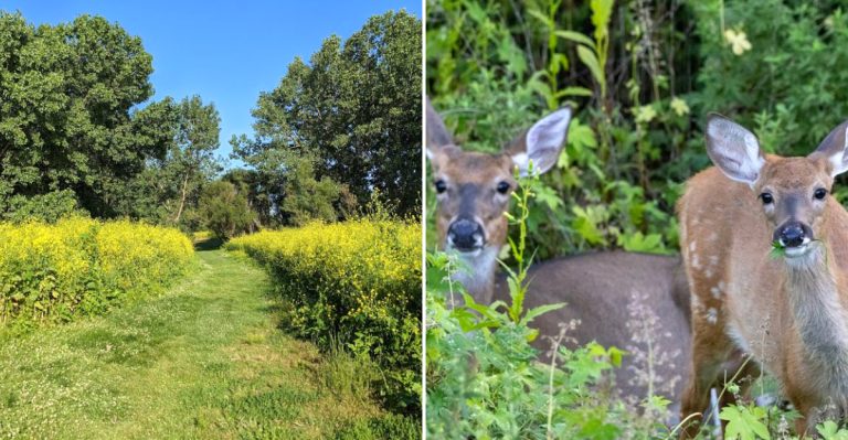 This Ohio Nature Preserve Is At Its Absolute Best In April