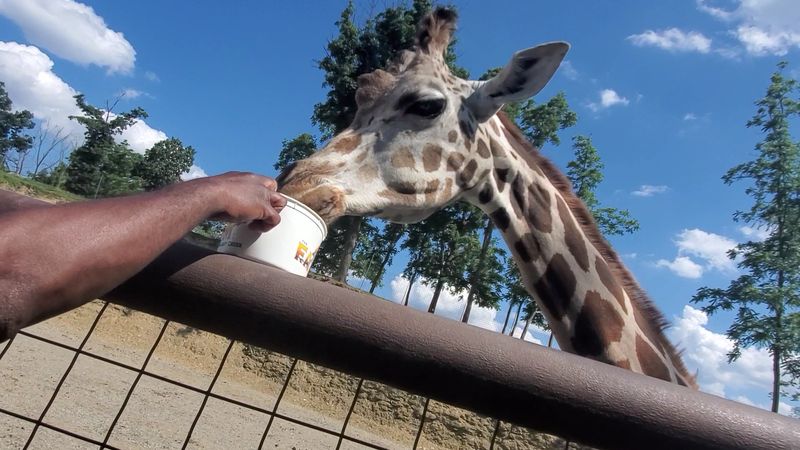 A Farm Unlike Any Other in Amish Country