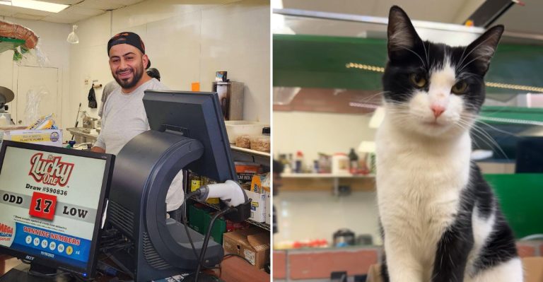 This Ohio Restaurant Never Asked For Fame And Got It Anyway