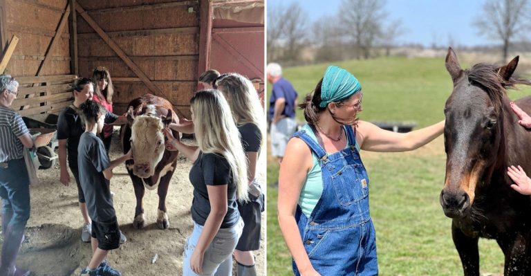 This Ohio Sanctuary Lets You Get Close To Rescued Farm Animals In The Sweetest Way