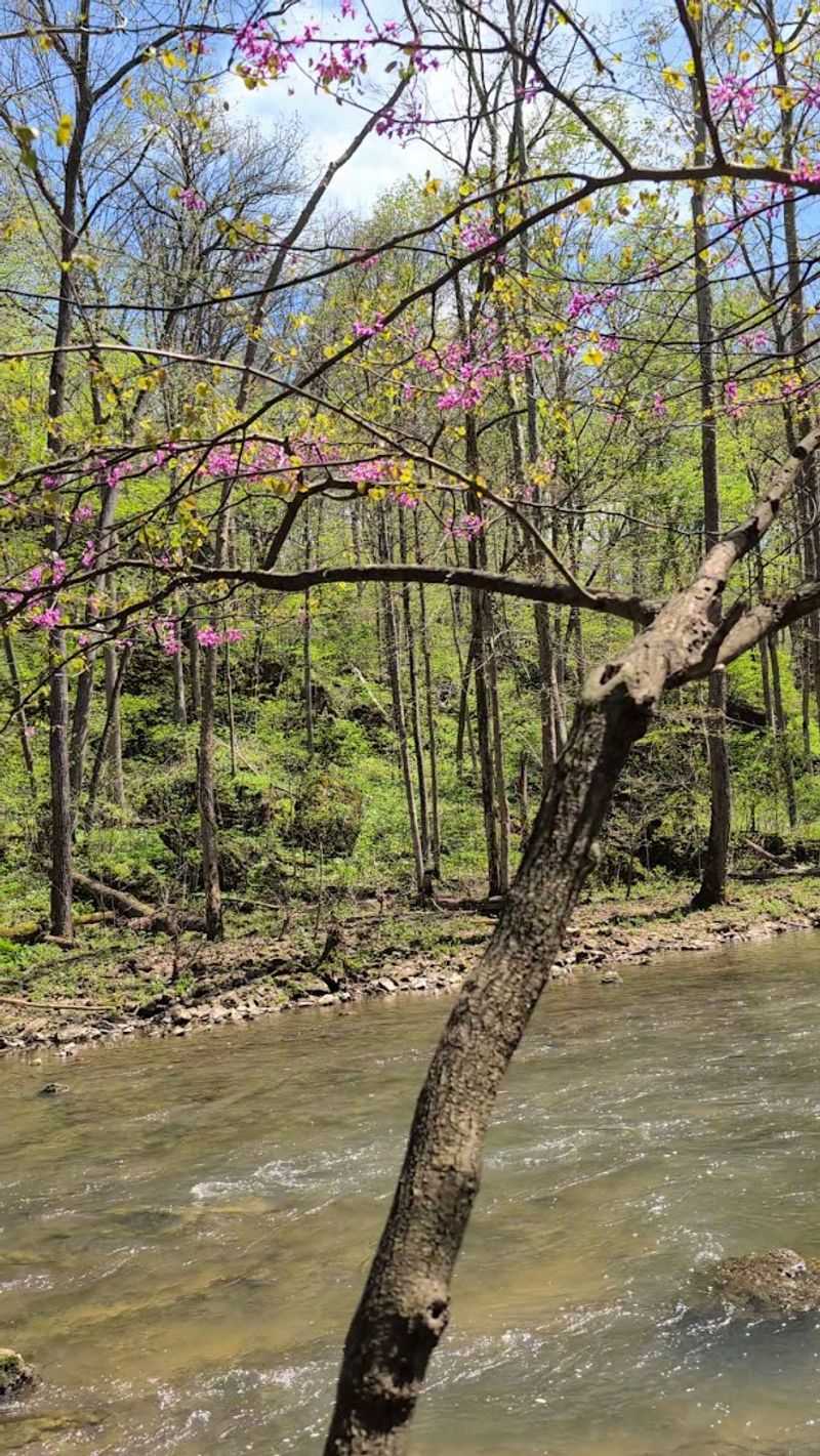 A Park That Earns Its Reputation