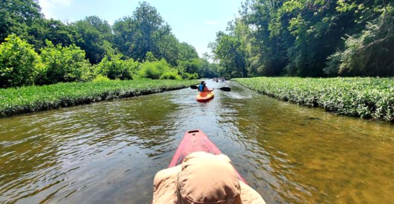 This Ohio Summer Float Is The Kind Of Day Trip That Does Not Ask Much From You