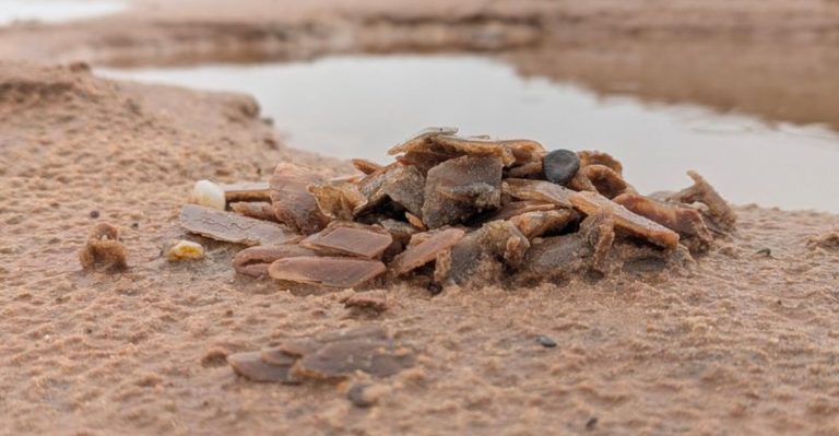 This Oklahoma Salt Plain Lets Visitors Dig For Rare Crystals Found Nowhere Else On Earth