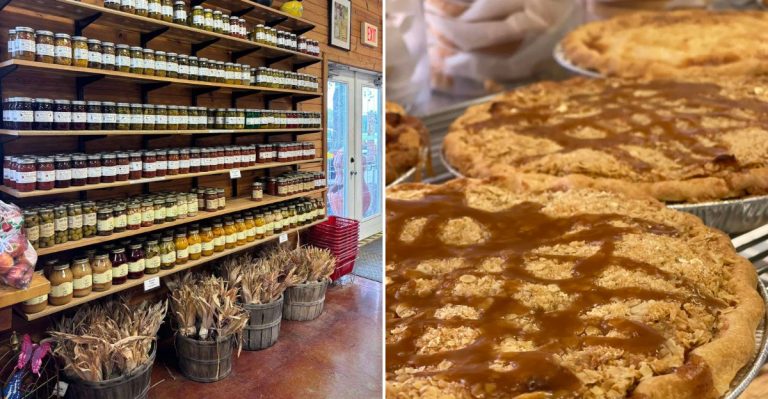 This Old-Fashioned Illinois Orchard Is Worth The Drive For Dessert Alone