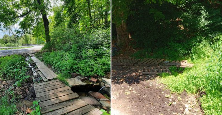 This Old-School Florida Theme Park Delivers A Nostalgic Day The Whole Family Will Love