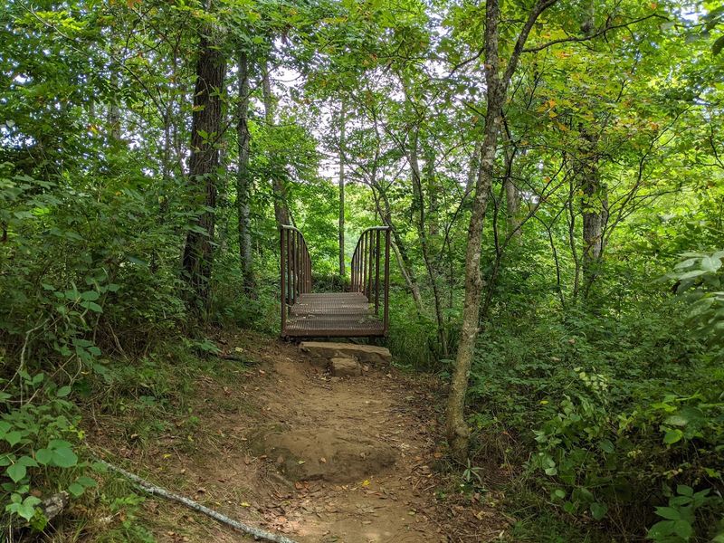 A Quiet Forest Path With A Refreshing Surprise