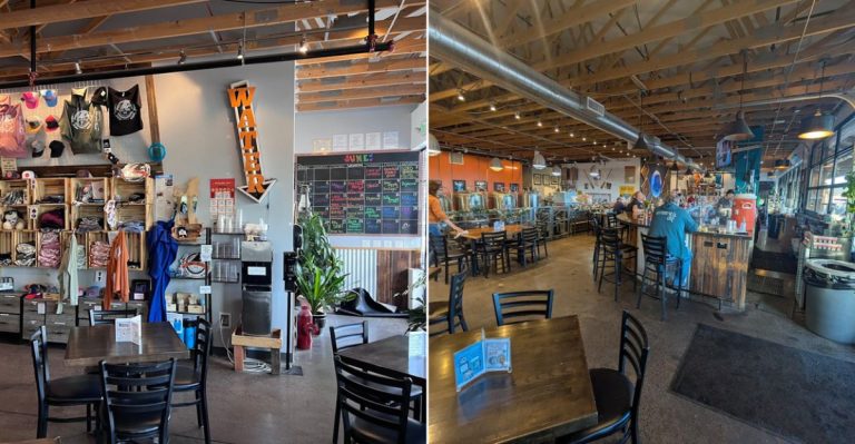 This One-Of-A-Kind Colorado Spot Lets You Sip A Cold Drink While Your Dog Lives Its Best Life