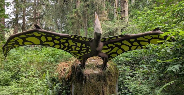 This Oregon Rainforest Hides A Dinosaur Park That Feels Frozen In Time