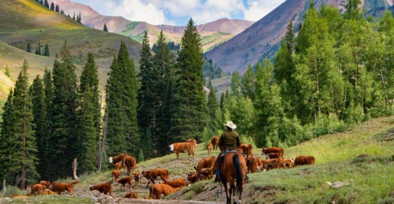 This Overlooked Montana Valley Village Has Views Locals Swear Rival National Parks
