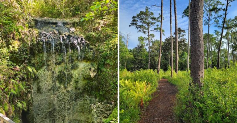This Paved Florida Trail Leads To A Hidden Waterfall Oasis