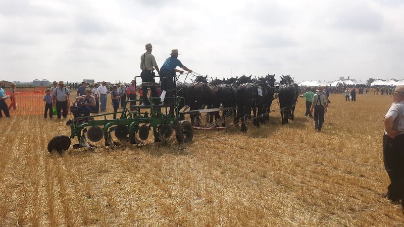 A Living History Since The 1860s