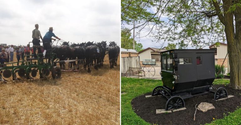 This Peaceful Amish Town In Illinois Offers A Simpler Way Of Life