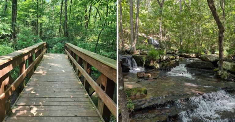 This Peaceful Arkansas Hike Leads To A Dreamy Waterfall Hidden In The Woods