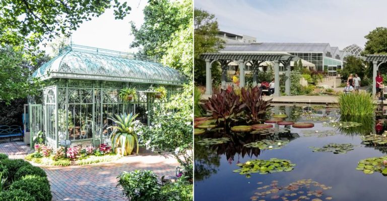 This Peaceful Colorado Garden Feels Like A Fairytale In Bloom During Spring