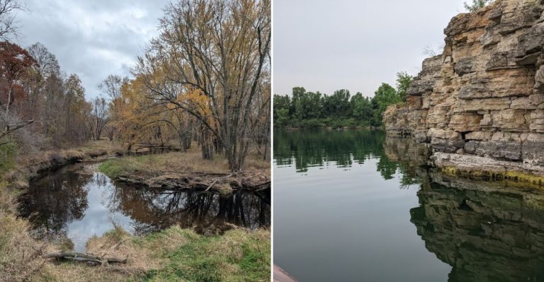This Peaceful Illinois Forest Preserve Hides A Huge Glacial Secret