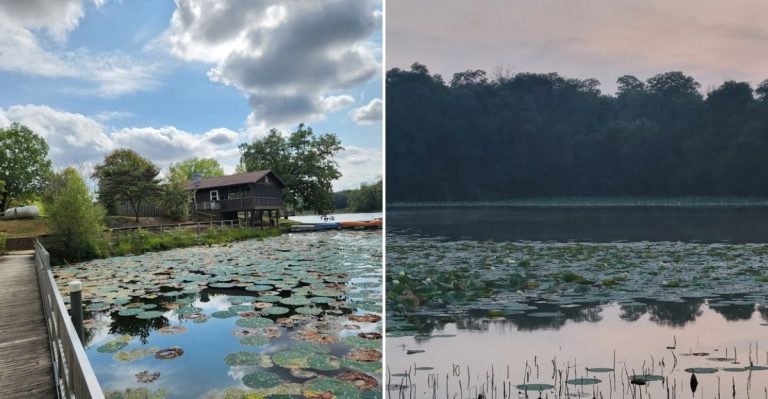 This Peaceful Illinois Lake Feels Like A Hidden Escape