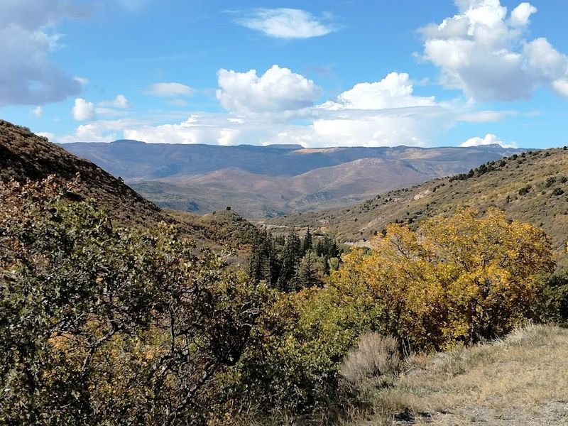 The Drive In Sets the Whole Tone