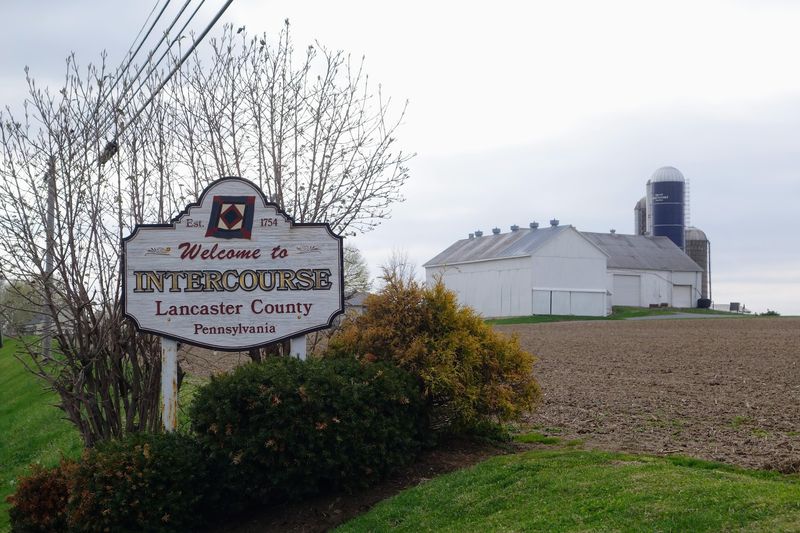 A Name That Turns Heads (And Starts Conversations)