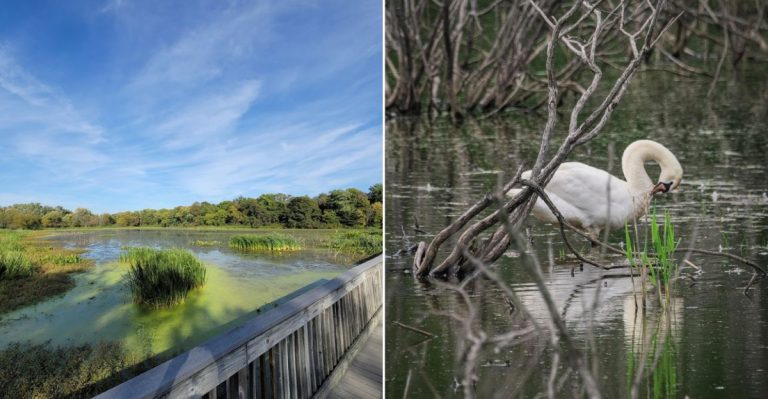 This Pennsylvania Bird Sanctuary Draws Photographers From Across The Globe During Nesting Season