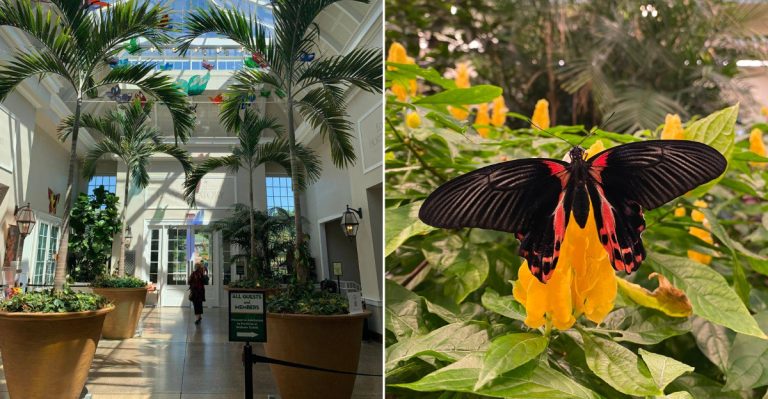 This Pennsylvania Botanical Garden Is Home To A Beautiful Indoor Butterfly Atrium