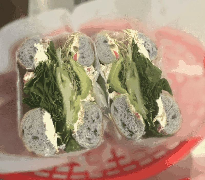 A 4.8-Star Rating That Speaks For Itself